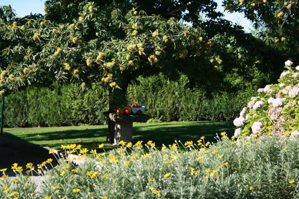 Quinta D'Arroteia Viseu Bagian luar foto